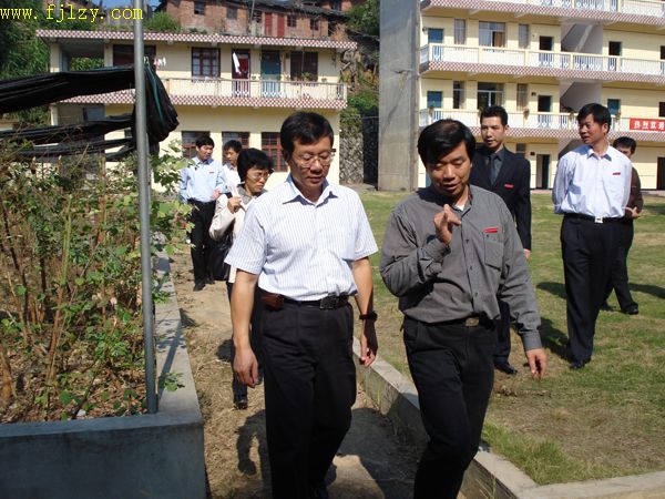 2025年新澳门原料免费