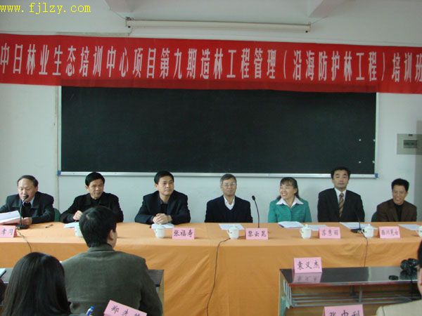 2025年新澳门原料免费