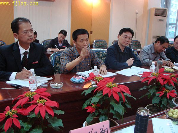 2025年新澳门原料免费