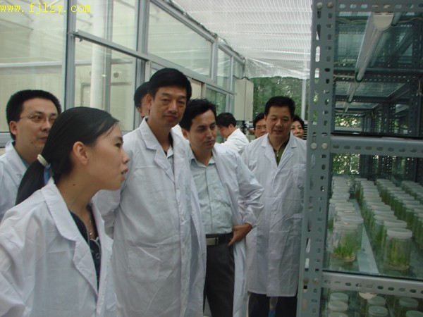 2025年新澳门原料免费