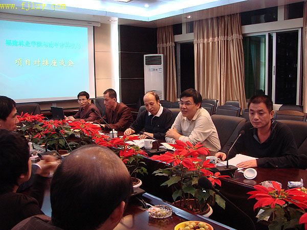 2025年新澳门原料免费