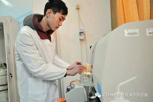 2025年新澳门原料免费