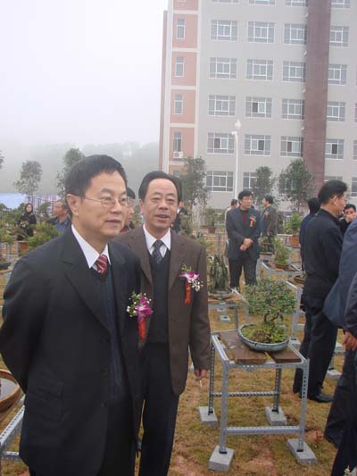 2025年新澳门原料免费