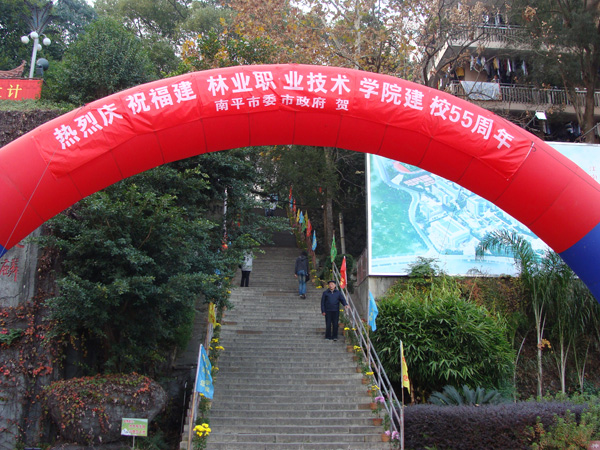 2025年新澳门原料免费