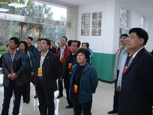 2025年新澳门原料免费