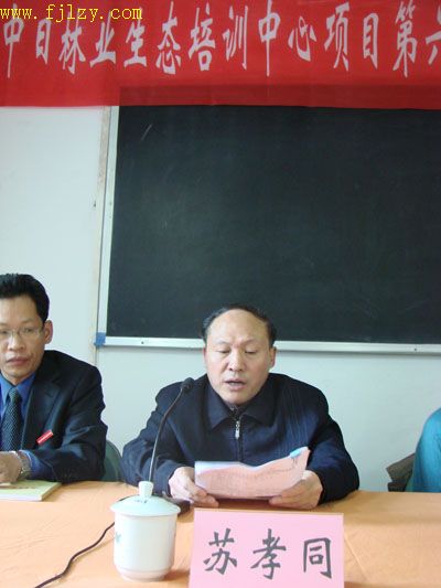 2025年新澳门原料免费