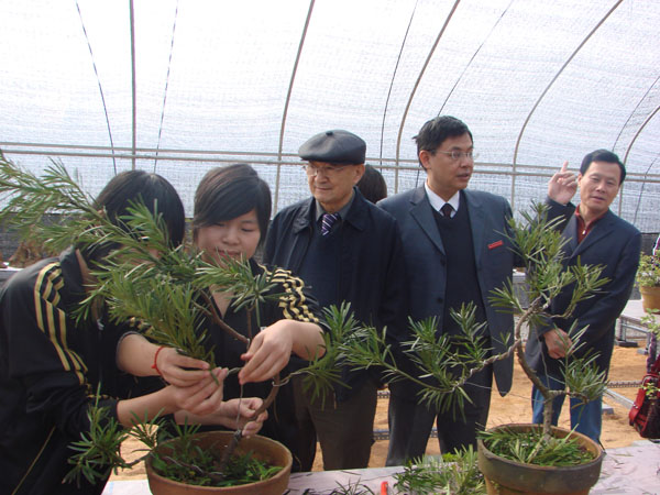 2025年新澳门原料免费