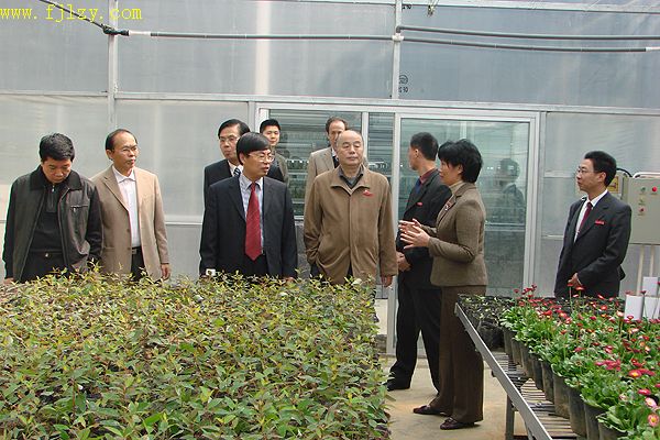 2025年新澳门原料免费