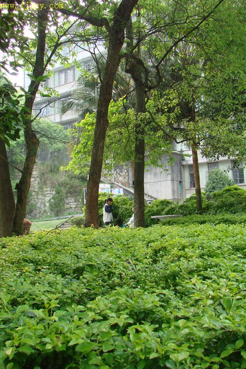 2025年新澳门原料免费