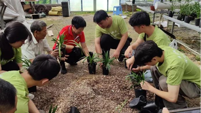 2025年新澳门原料免费 2025年新澳门原料免费