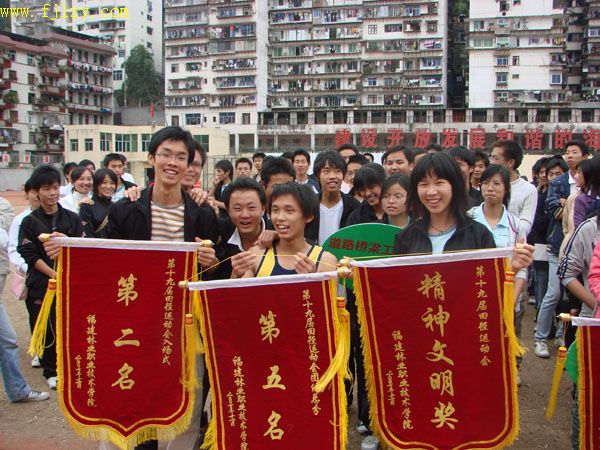 2025年新澳门原料免费
