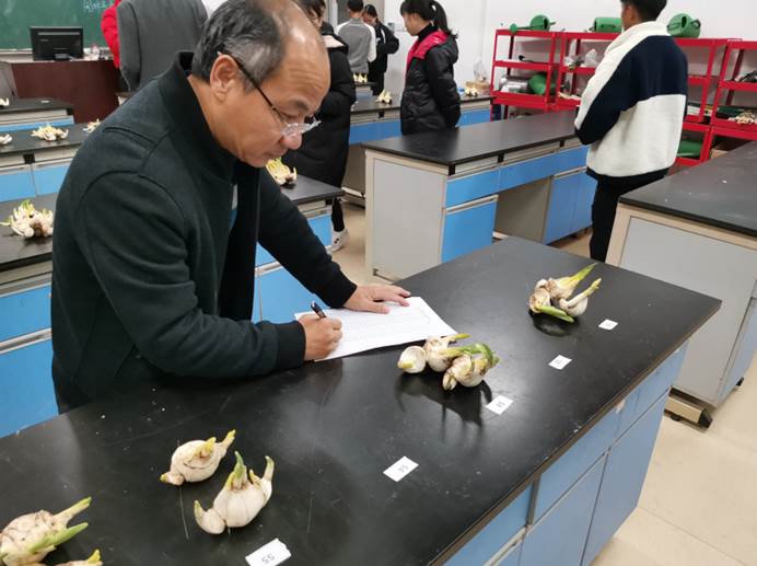 2025年新澳门原料免费