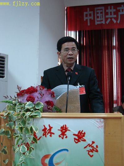 2025年新澳门原料免费