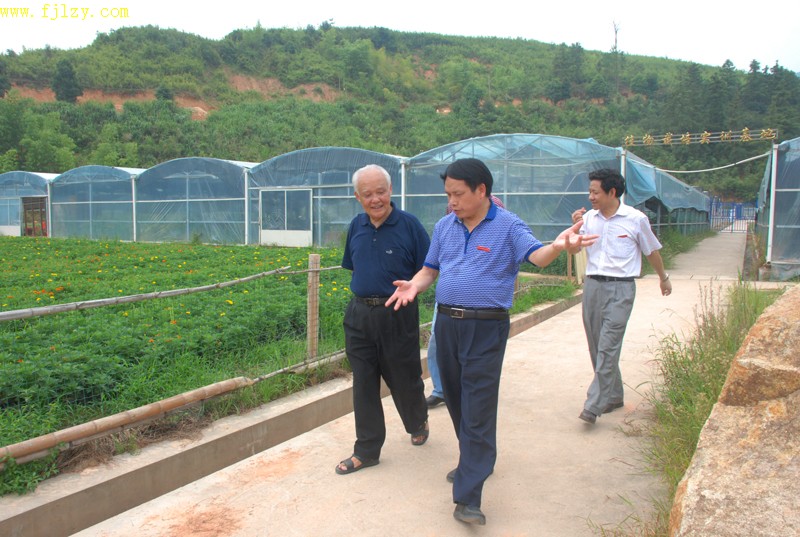 2025年新澳门原料免费