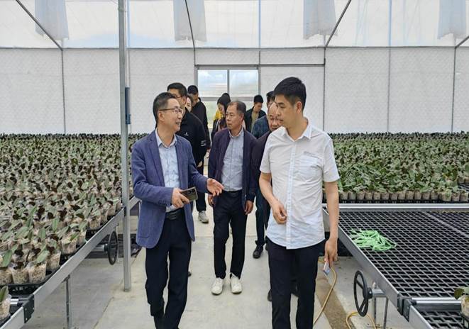 2025年新澳门原料免费