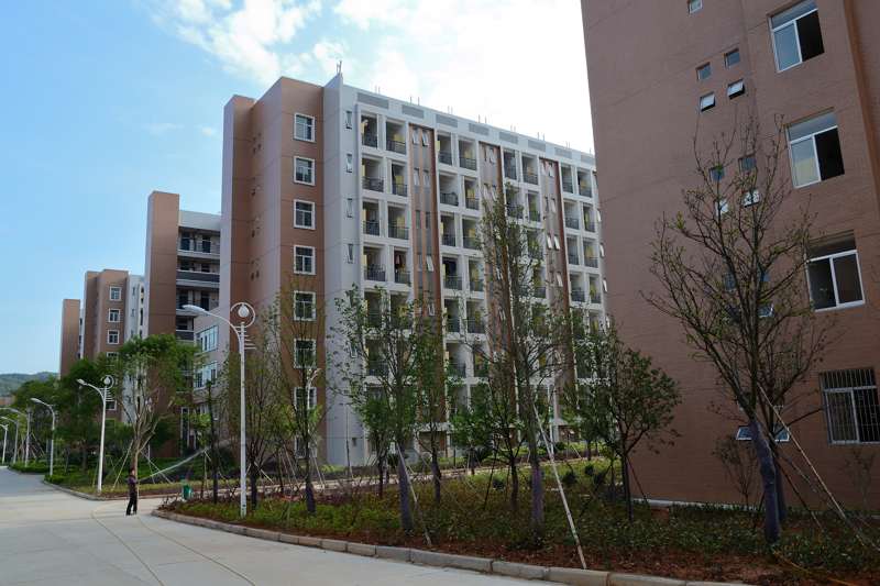 2025年新澳门原料免费