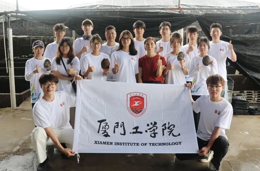 2025年新澳门原料免费