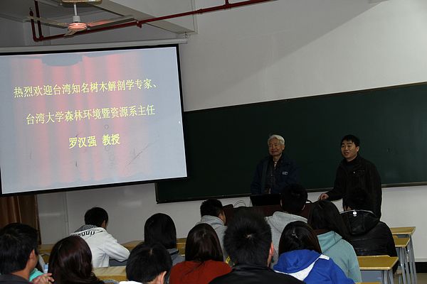 2025年新澳门原料免费