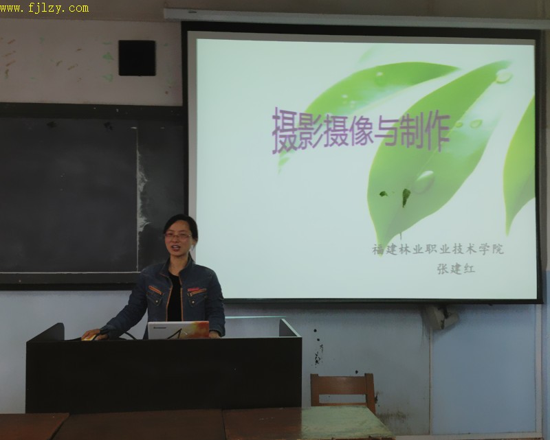 2025年新澳门原料免费