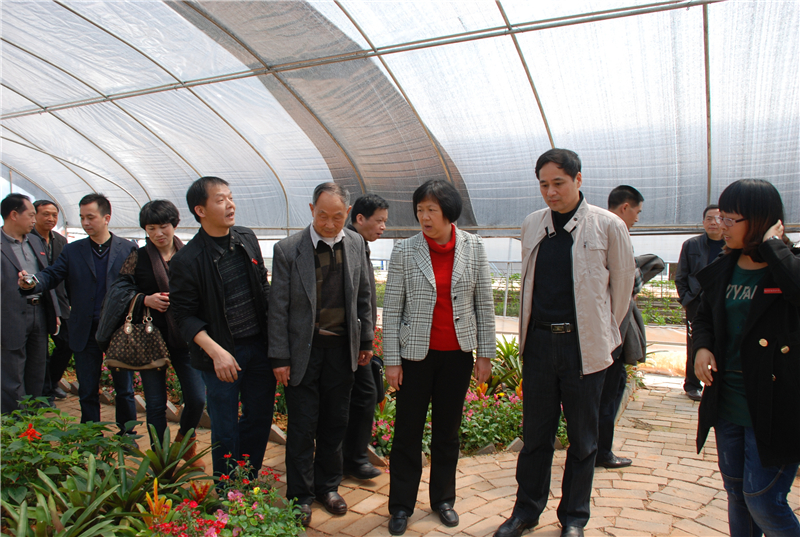 2025年新澳门原料免费