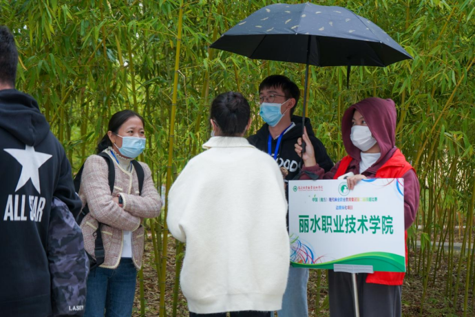2025年新澳门原料免费