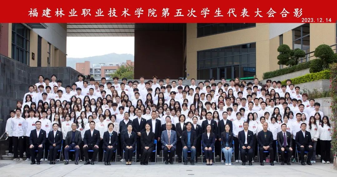 2025年新澳门原料免费