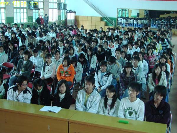 2025年新澳门原料免费