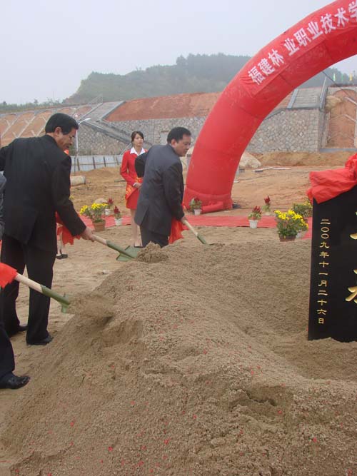 2025年新澳门原料免费