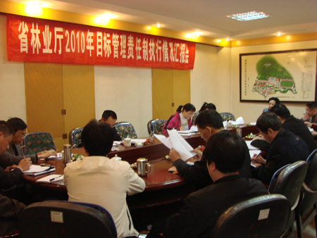 2025年新澳门原料免费