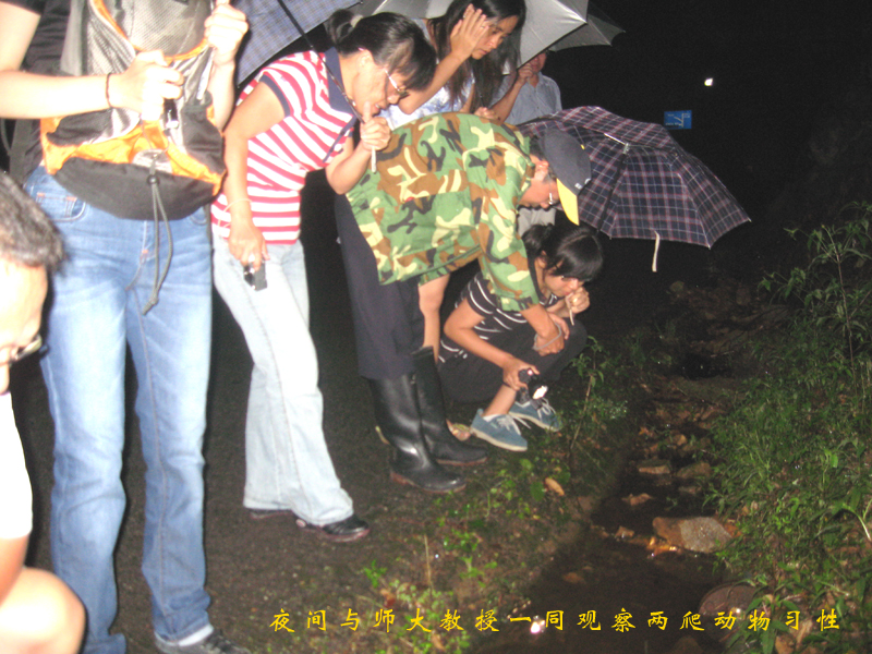 2025年新澳门原料免费