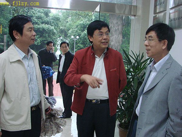 2025年新澳门原料免费