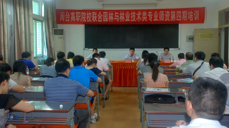 2025年新澳门原料免费