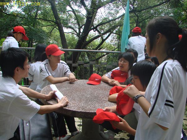 2025年新澳门原料免费