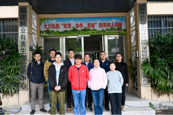 2025年新澳门原料免费