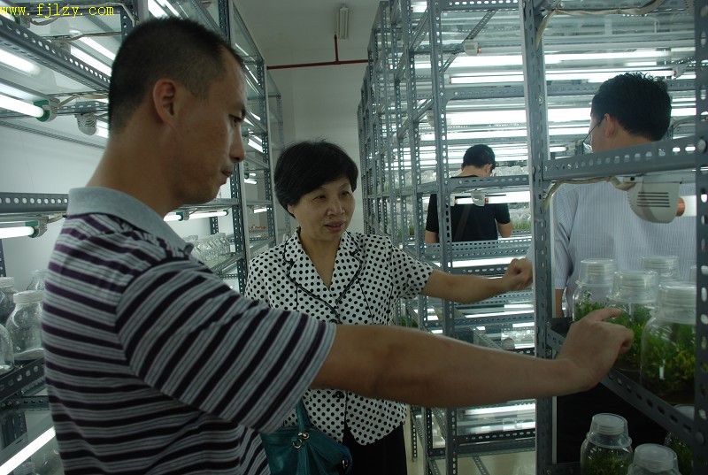 2025年新澳门原料免费