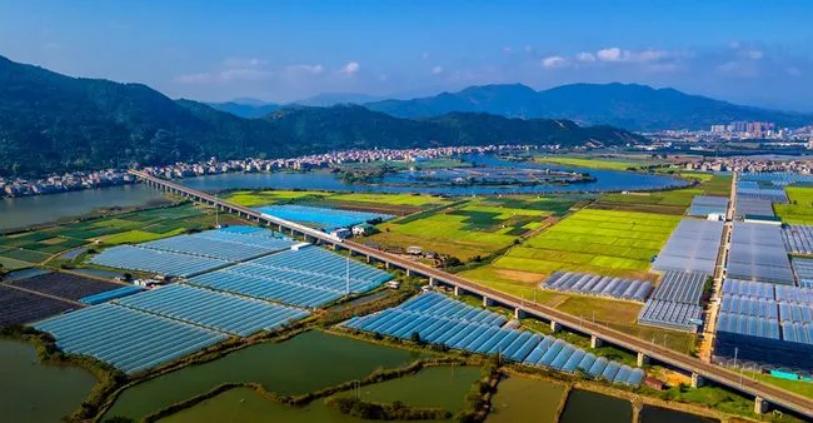 2025年新澳门原料免费
