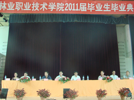 2025年新澳门原料免费