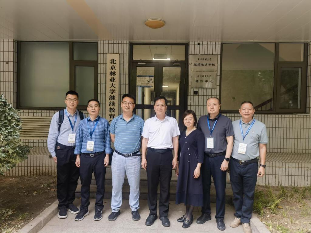 2025年新澳门原料免费
