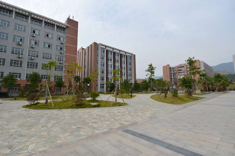 2025年新澳门原料免费