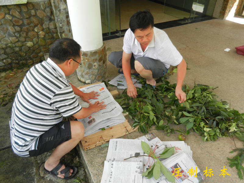 2025年新澳门原料免费