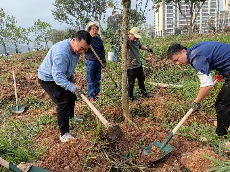 2025年新澳门原料免费