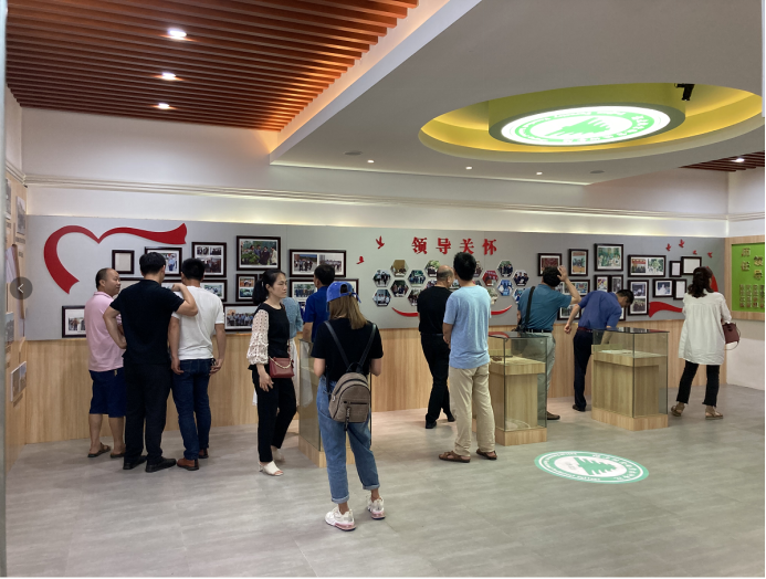2025年新澳门原料免费