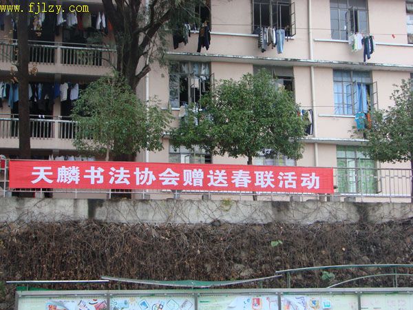 2025年新澳门原料免费
