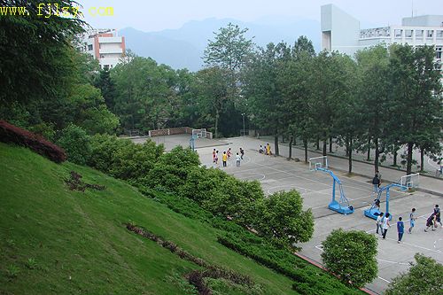 2025年新澳门原料免费