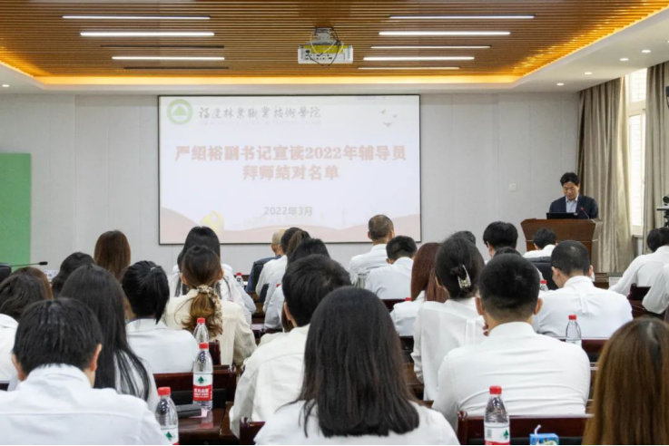 2025年新澳门原料免费
