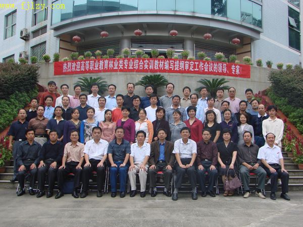 2025年新澳门原料免费