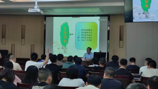 2025年新澳门原料免费