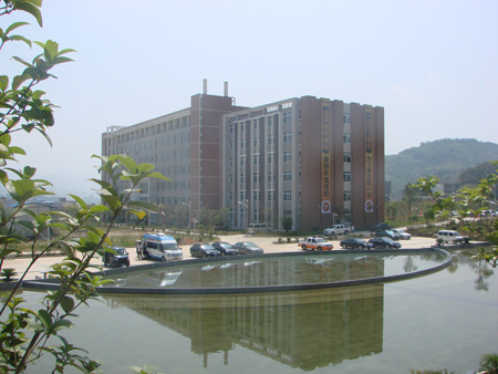 2025年新澳门原料免费