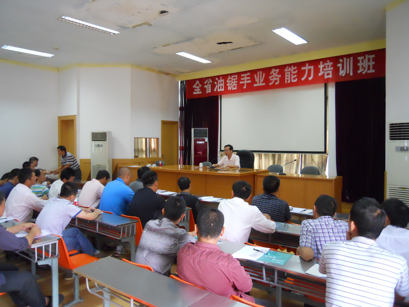 2025年新澳门原料免费