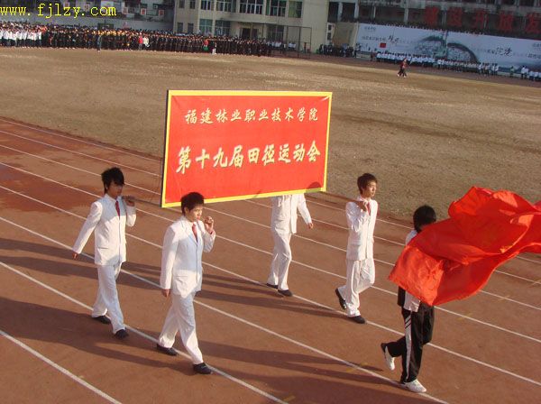 2025年新澳门原料免费